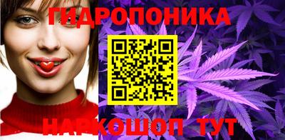 apvp Лесосибирск