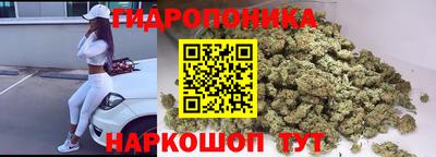 крисы Малгобек