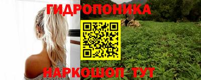 apvp Лесосибирск