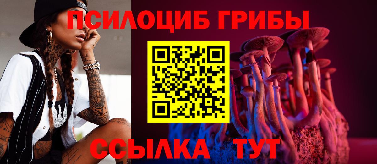 Великий Новгород  купить закладку  Вход с VPN  Галлюциногенные грибы мицелий 